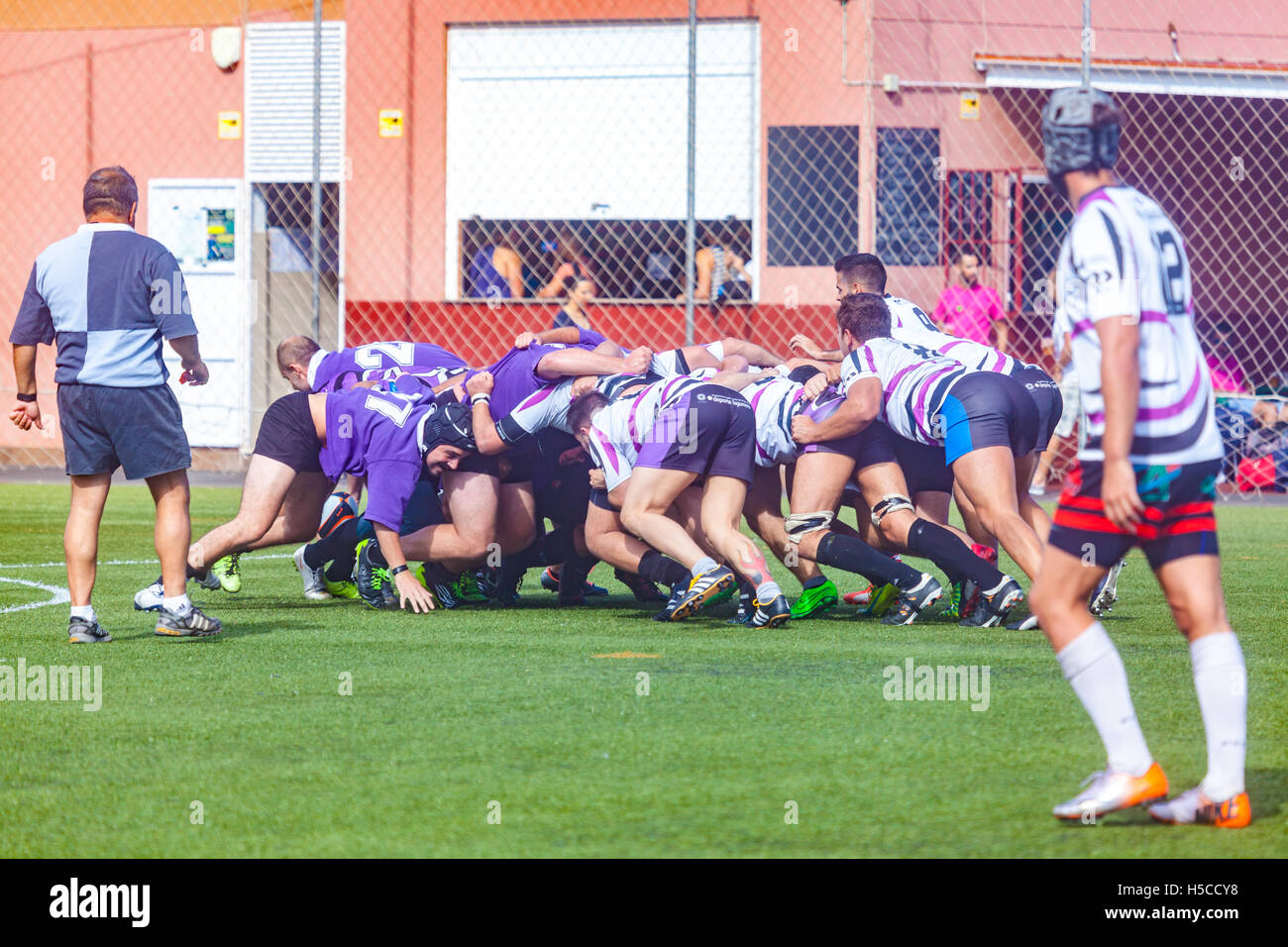 male adult rugby match Stock Photo Alamy
