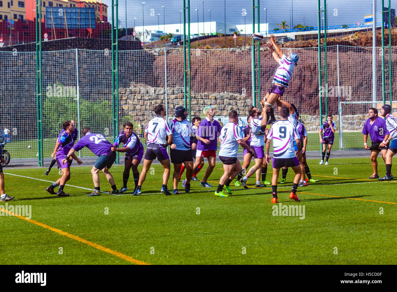male adult rugby match Stock Photo Alamy