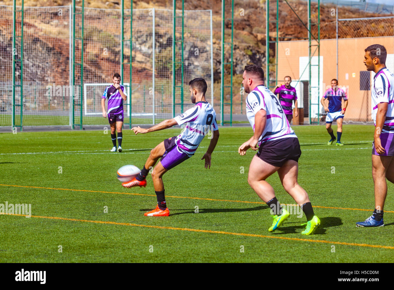 male adult rugby match Stock Photo - Alamy