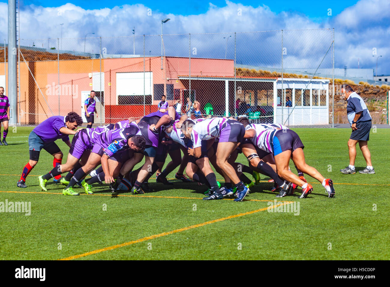 male adult rugby match Stock Photo Alamy