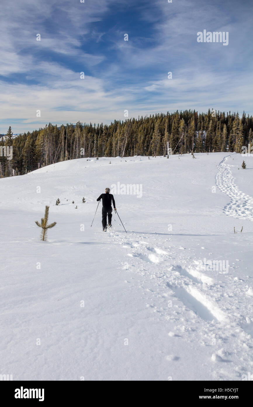 Snowshoeing footprints hires stock photography and images Alamy