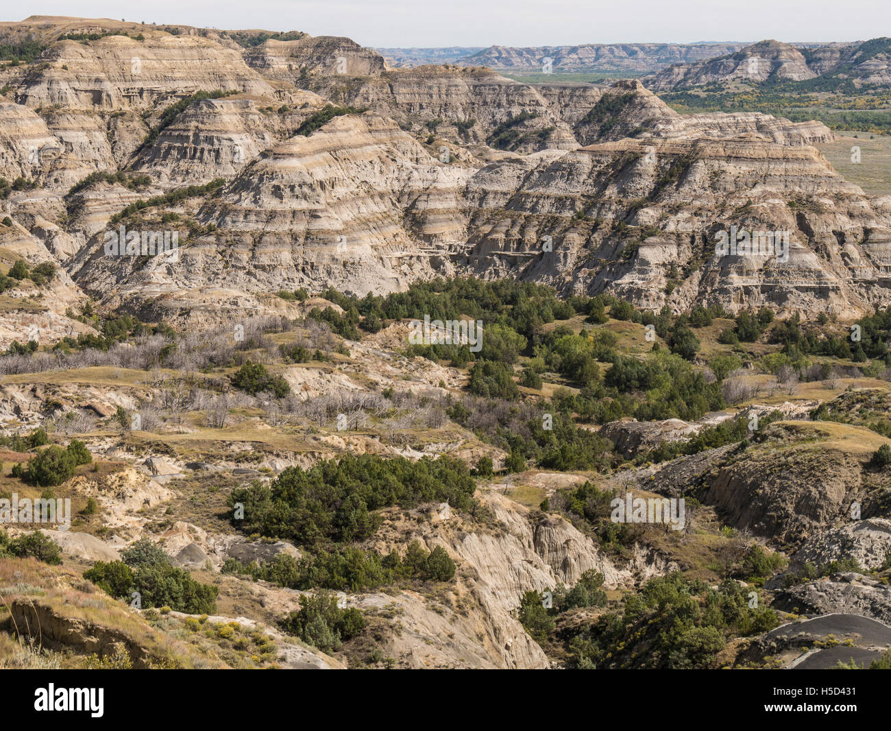 Little Missouri River Valley from Oxbow Overlook,, Theodore Roosevelt