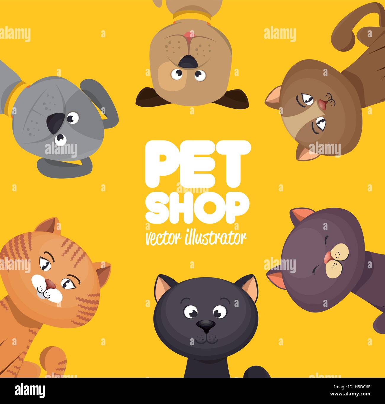 cute cat shop