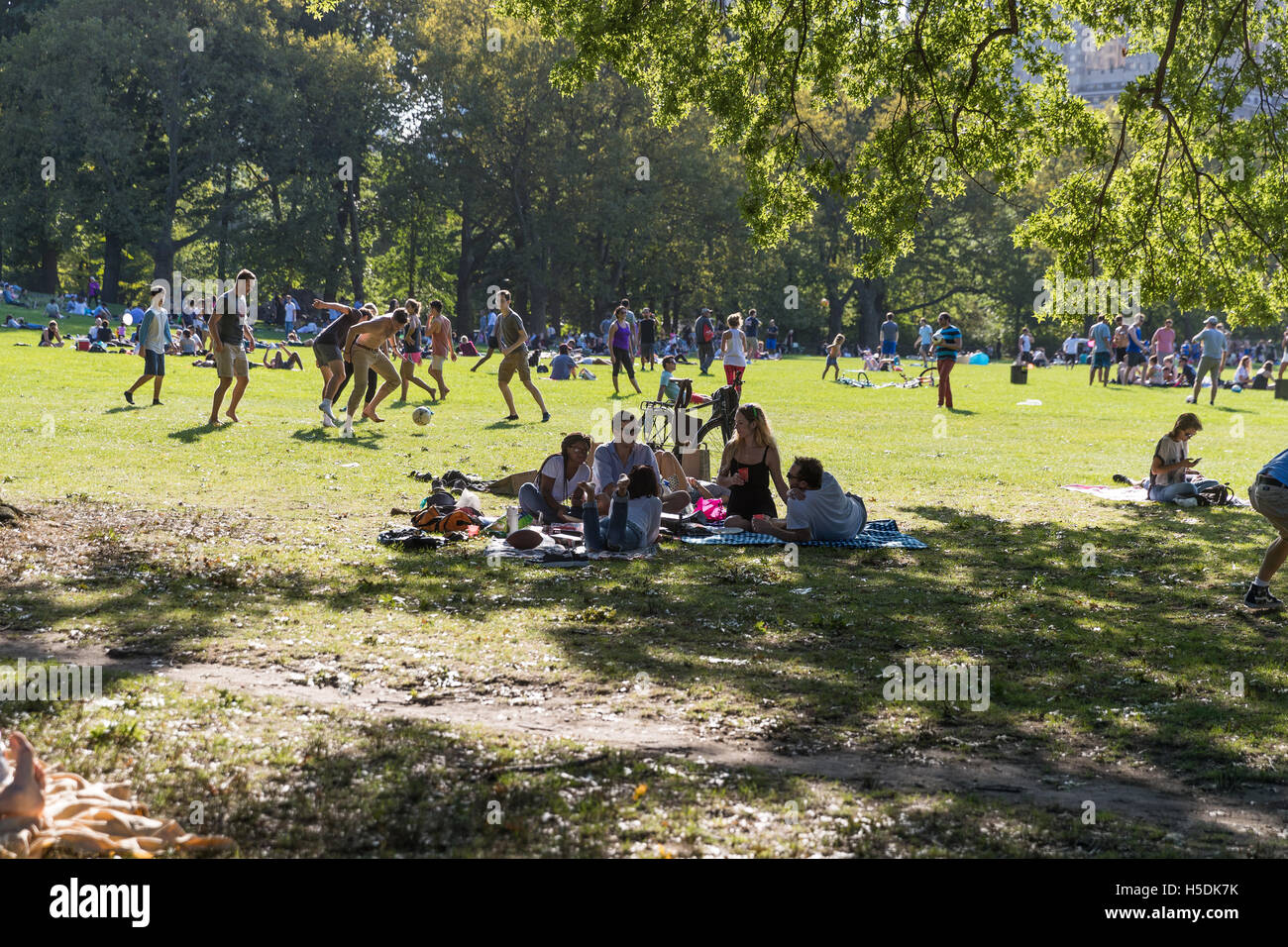 People enjoying a sunny day on a lawn in the Central Park, NYC Stock Photo