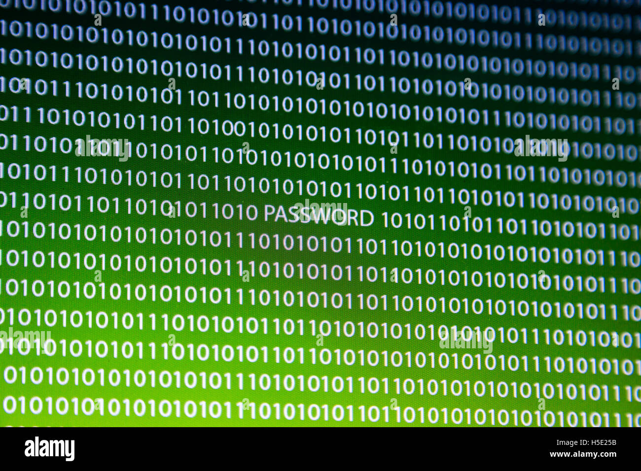 Computer Code Texture