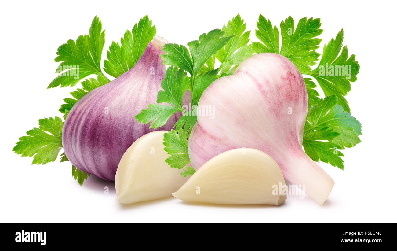 Whole garlic bulbs with flat-leaved  parsley. Clipping path, shadow separated Stock Photo