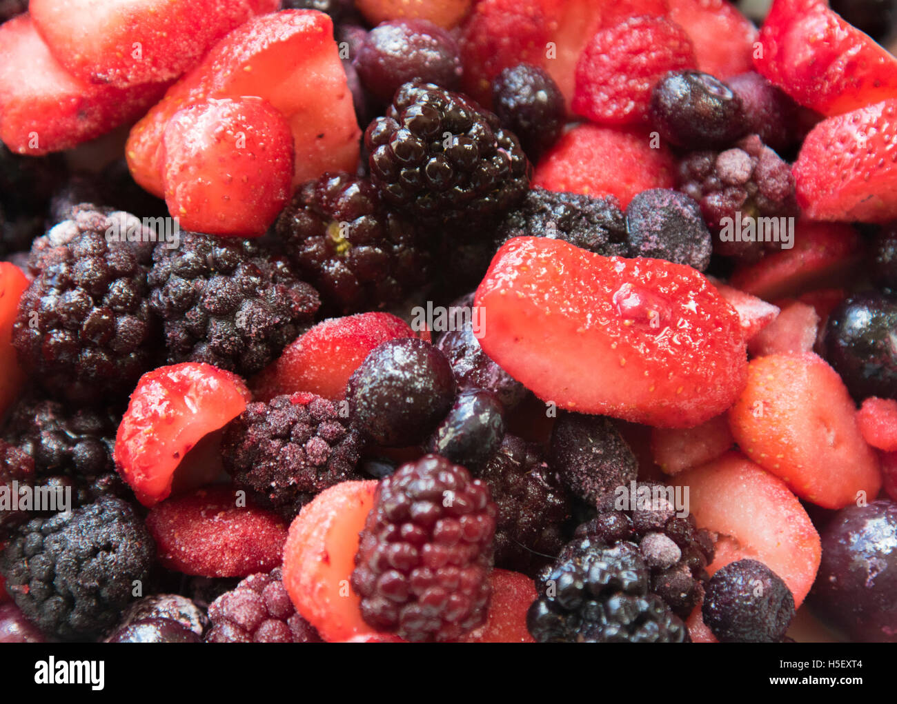 A bunch of different berries. Stock Photo