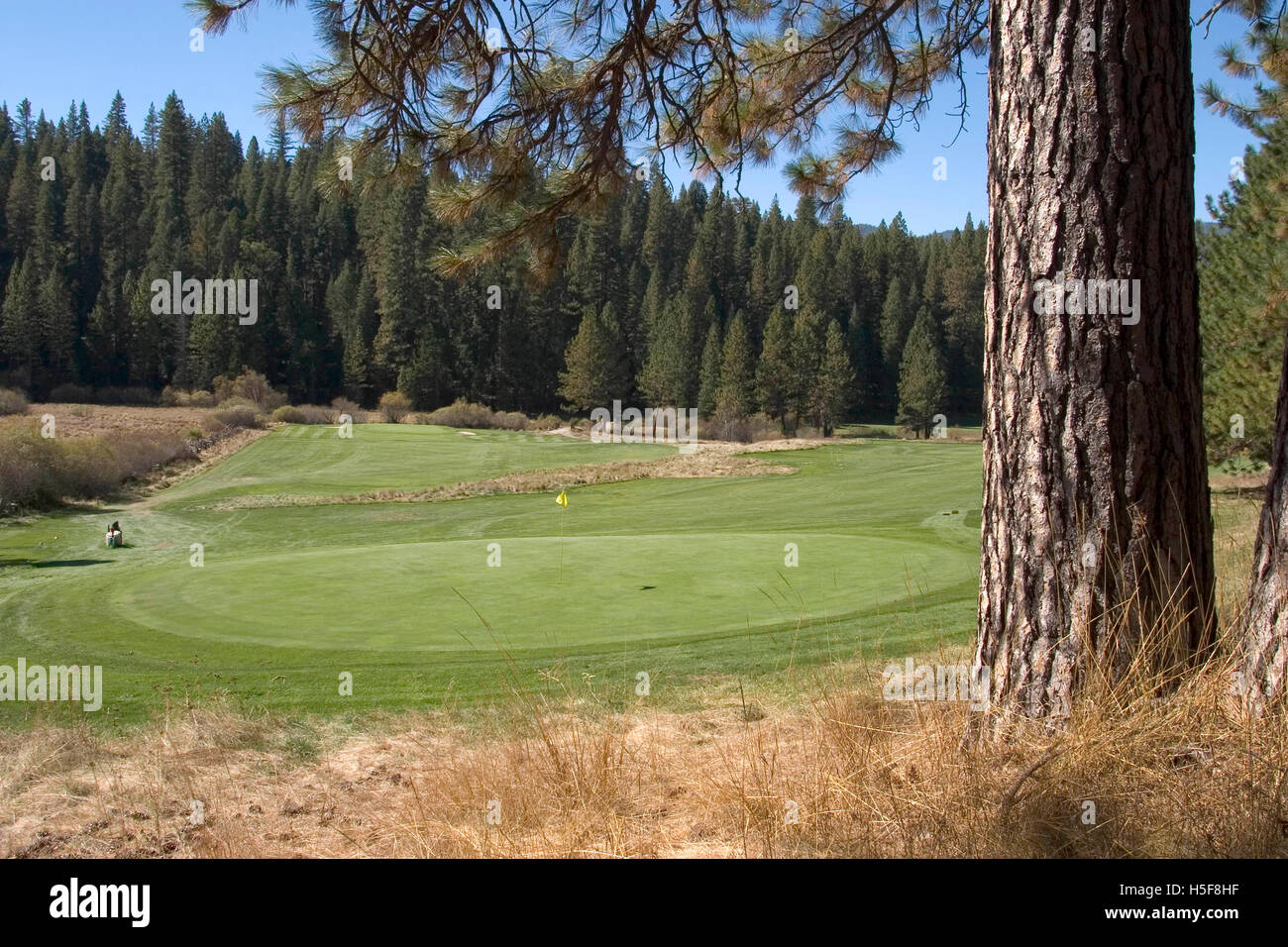Dec 01, 2005; Wawona, CA, USA; Yosemite's Wawona Golf Course was the first regulation course in the Sierra Nevada when it opened in 1918 -- and has provided golfers challenging but rewarding rounds ever since. It was designed by Walter Fovargue to blend seamlessly into its spectacular surroundings. The nine-hole, par-35 course measures 3,050 yards and includes two par five holes and three par three holes. Different tee positions per side provide a par 70, 18-hole format. Golfers of every level enjoy the rolling terrain, variety of challenging holes and tranquil setting of this historic course. Stock Photo
