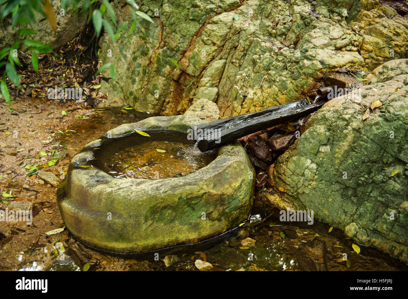 Ancient Irrigation System