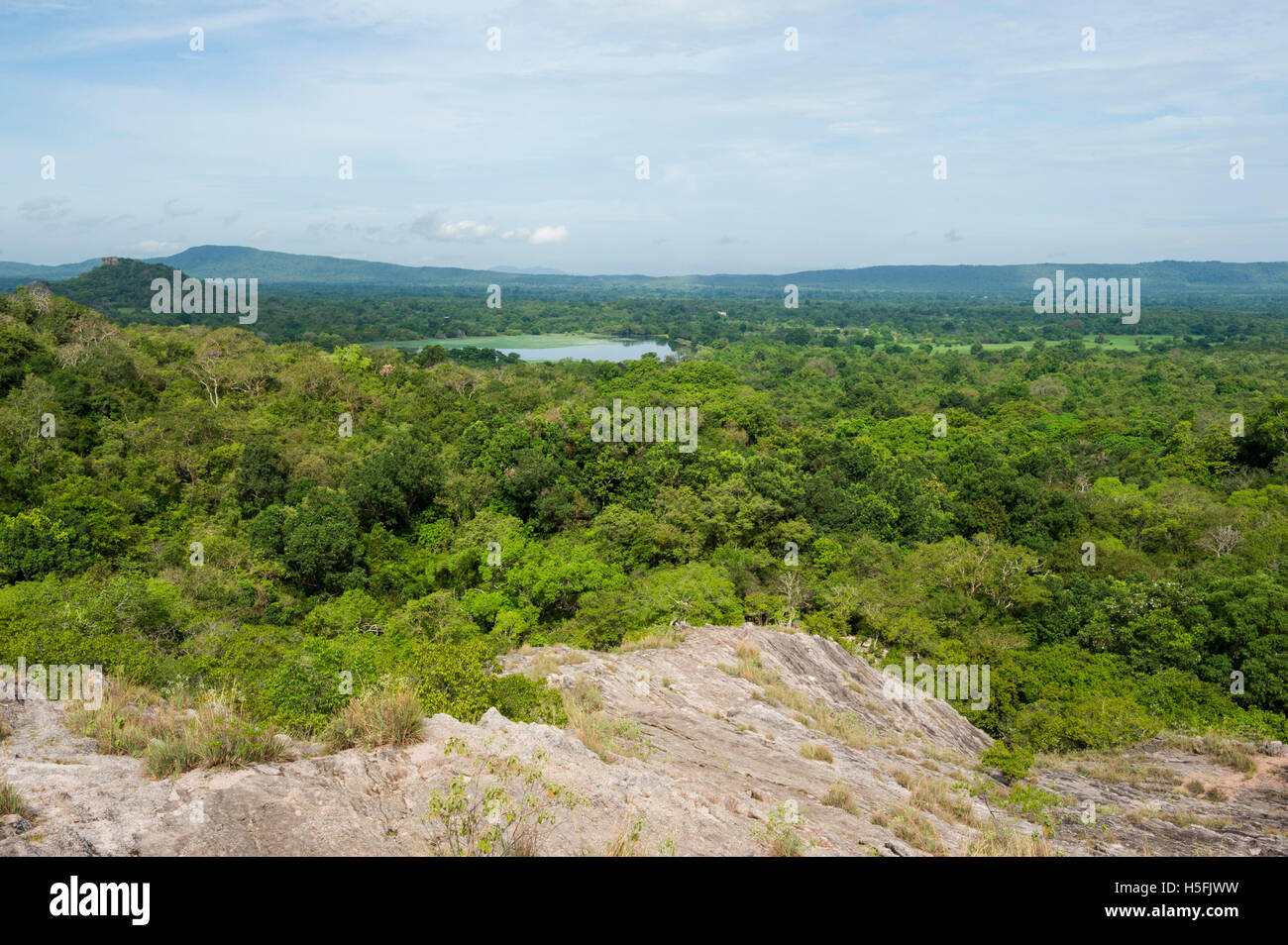 Rose quartz mountain range in Jathika Namal Uyana Forest Reserve, Sri Lanka Stock Photo