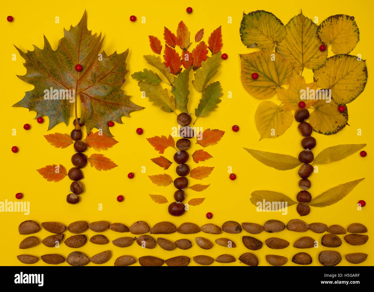 Colorful autumn fallen leaf and nut pattern on yellow background Stock Photo