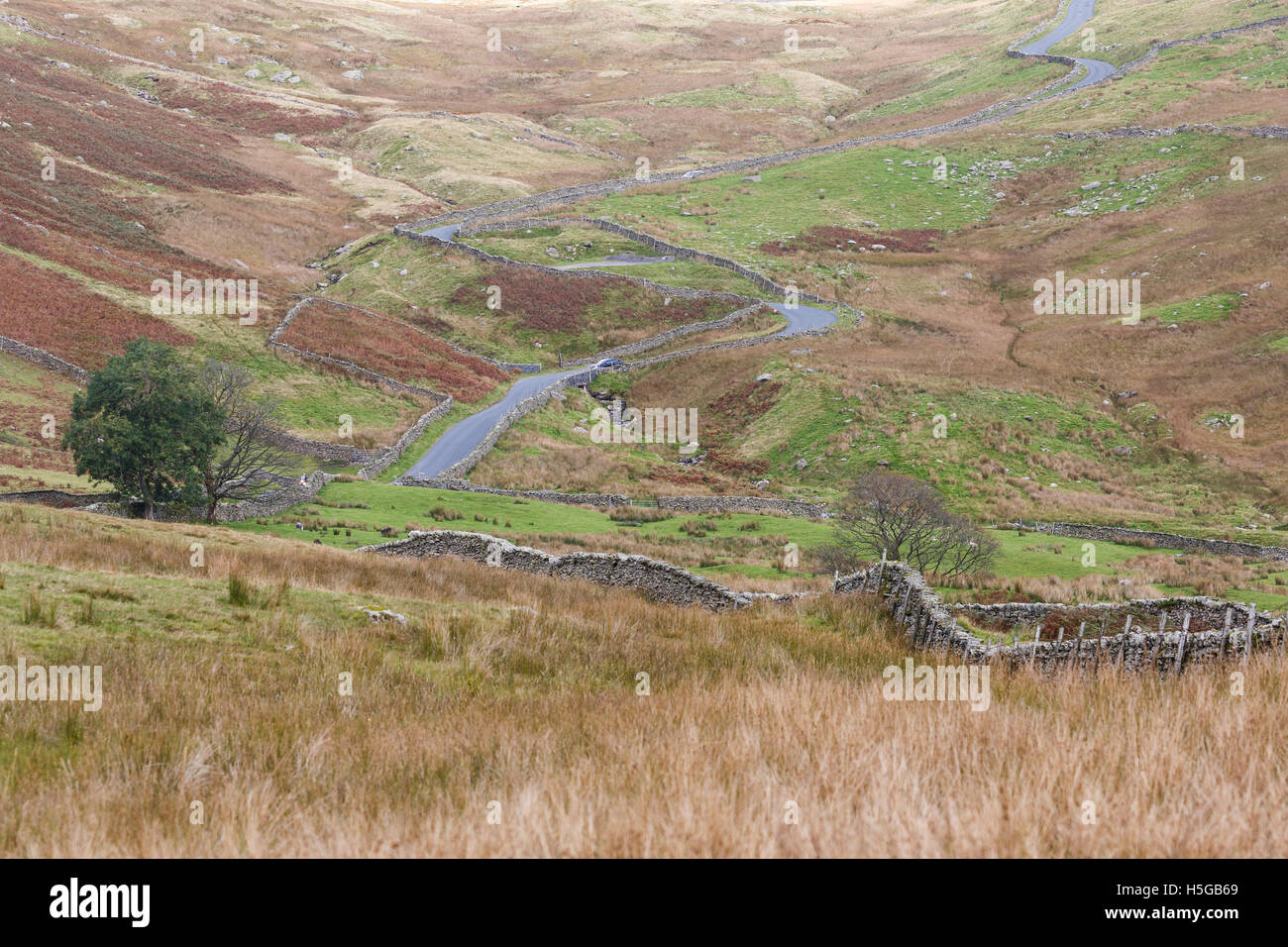 Small country road near the Kirkstone Pass, Lake District, Cumbria, UK. Stock Photo