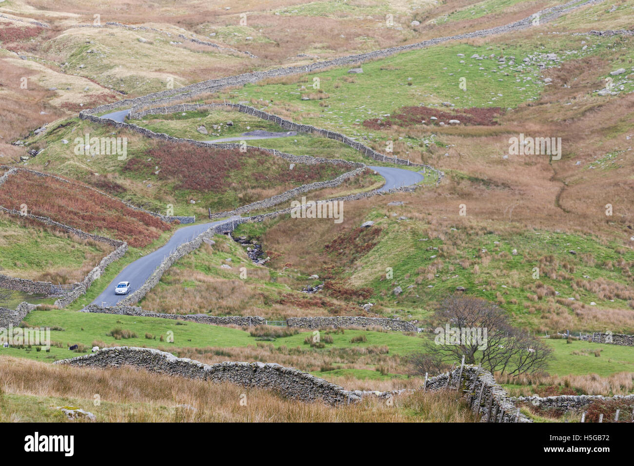 Small country road near the Kirkstone Pass, Lake District, Cumbria, UK. Stock Photo