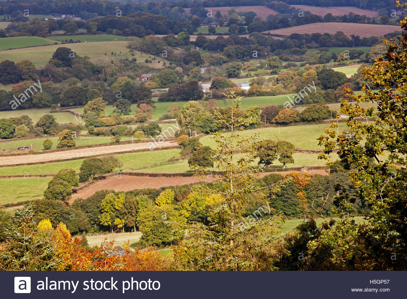 Blackdown Hills Devon Stock Photos & Blackdown Hills Devon Stock Images