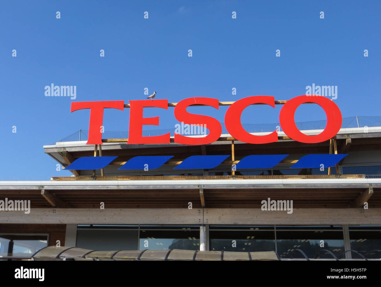 Seagull (juvenile herring gull (Larus argentatus)) perched on a Tesco sign against cloudless blue sky Stock Photo