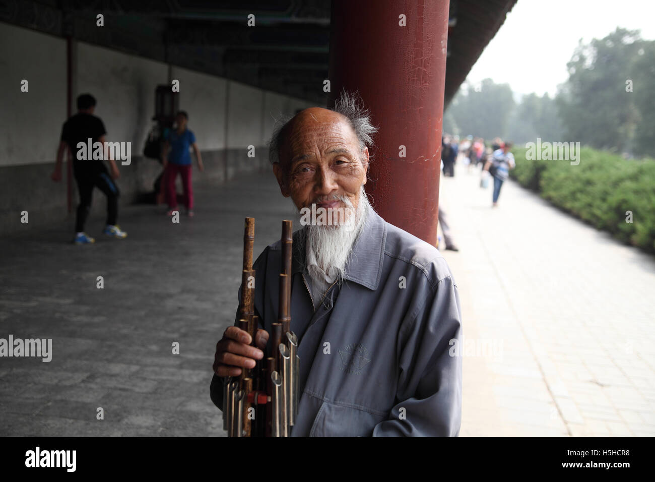 Portrait of an old Chinese man holding his Sheng also called Yu, a free reed wind instrument consisting of vertical pipes Stock Photo