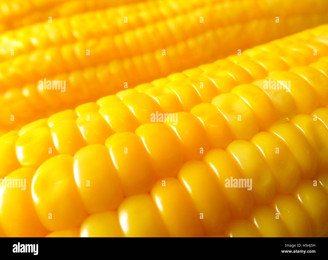 Close-up of Boiled Orange Yellow Sweet Corn, Texture, Background Stock ...