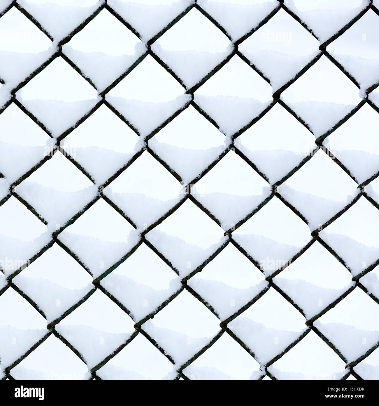 Chain link fence covered fresh snow Stock Photo