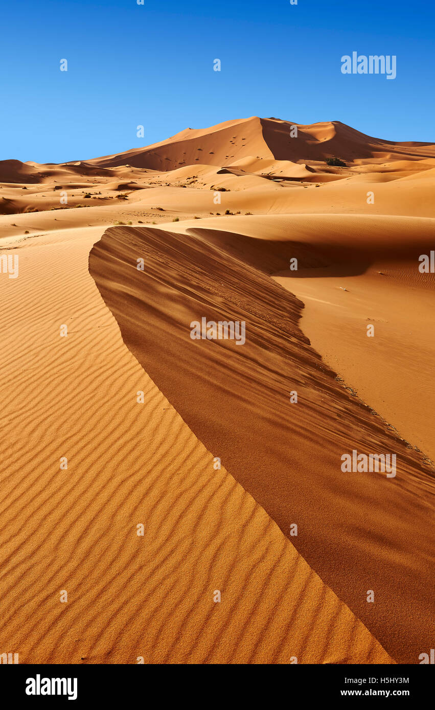 Sahara sand dunes of erg Chebbi, Merzouga Morocco, Africa Stock Photo