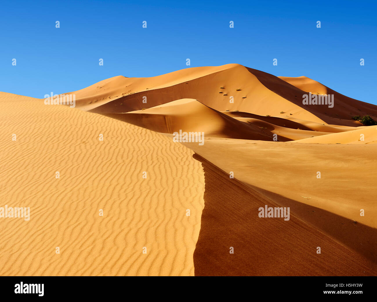 Sahara sand dunes of erg Chebbi, Merzouga Morocco, Africa Stock Photo