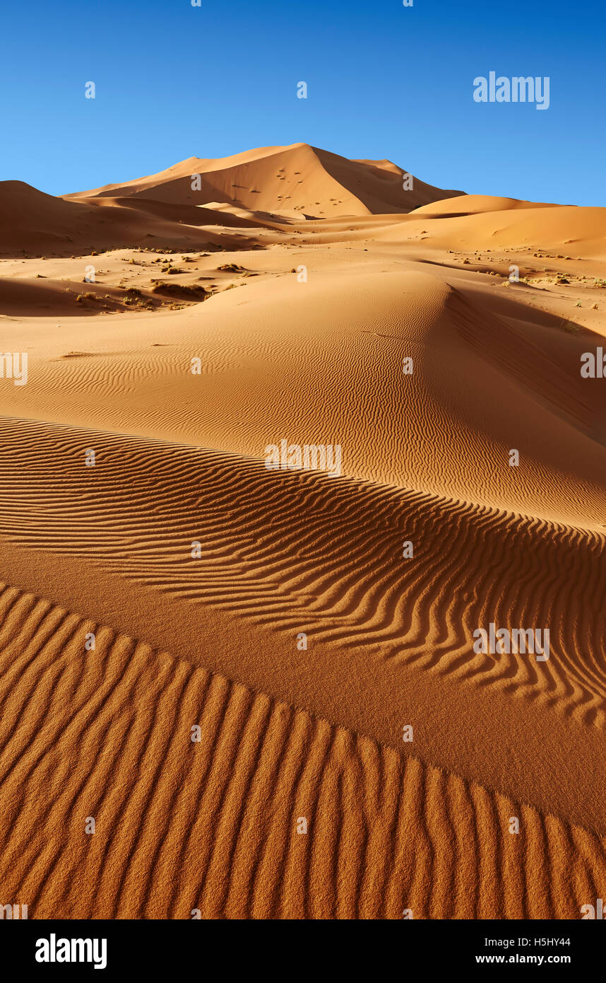 Sahara sand dunes of erg Chebbi, Merzouga Morocco, Africa Stock Photo