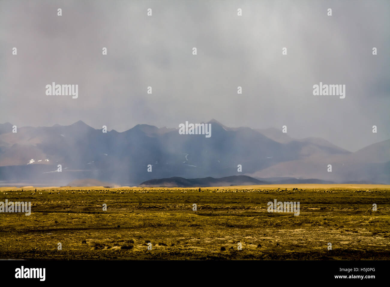 Rainy landscape of the Tibetan Plateau.Tibet. China Stock Photo - Alamy