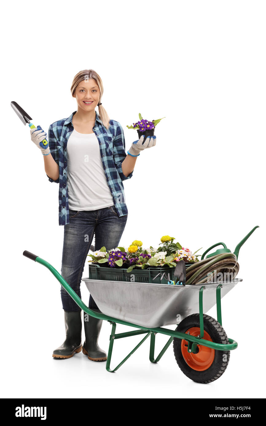 Female gardener standing behind a wheelbarrow and holding a flower in a ...