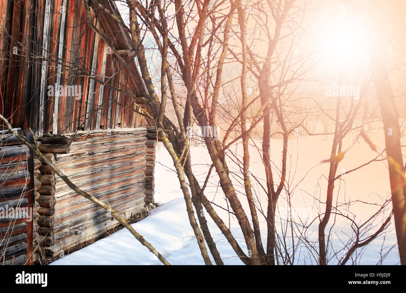 sunny landscape winter log house wal Stock Photo - Alamy