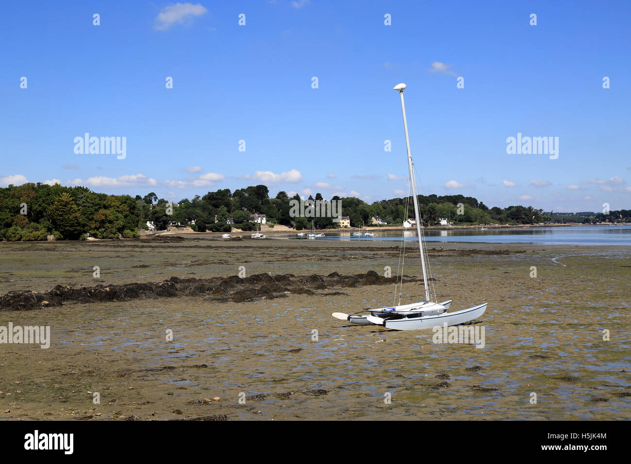 Catamaran on beach at low tide at Brouel, Ile Aux Moines, Morbihan, Brittany, France Stock Photo
