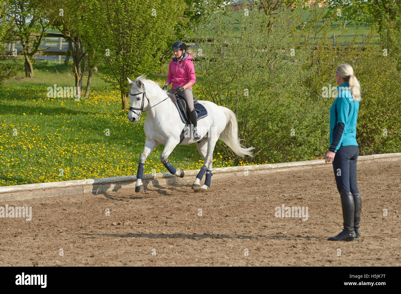 Riding lesson, P.R.E. horse cantering Stock Photo