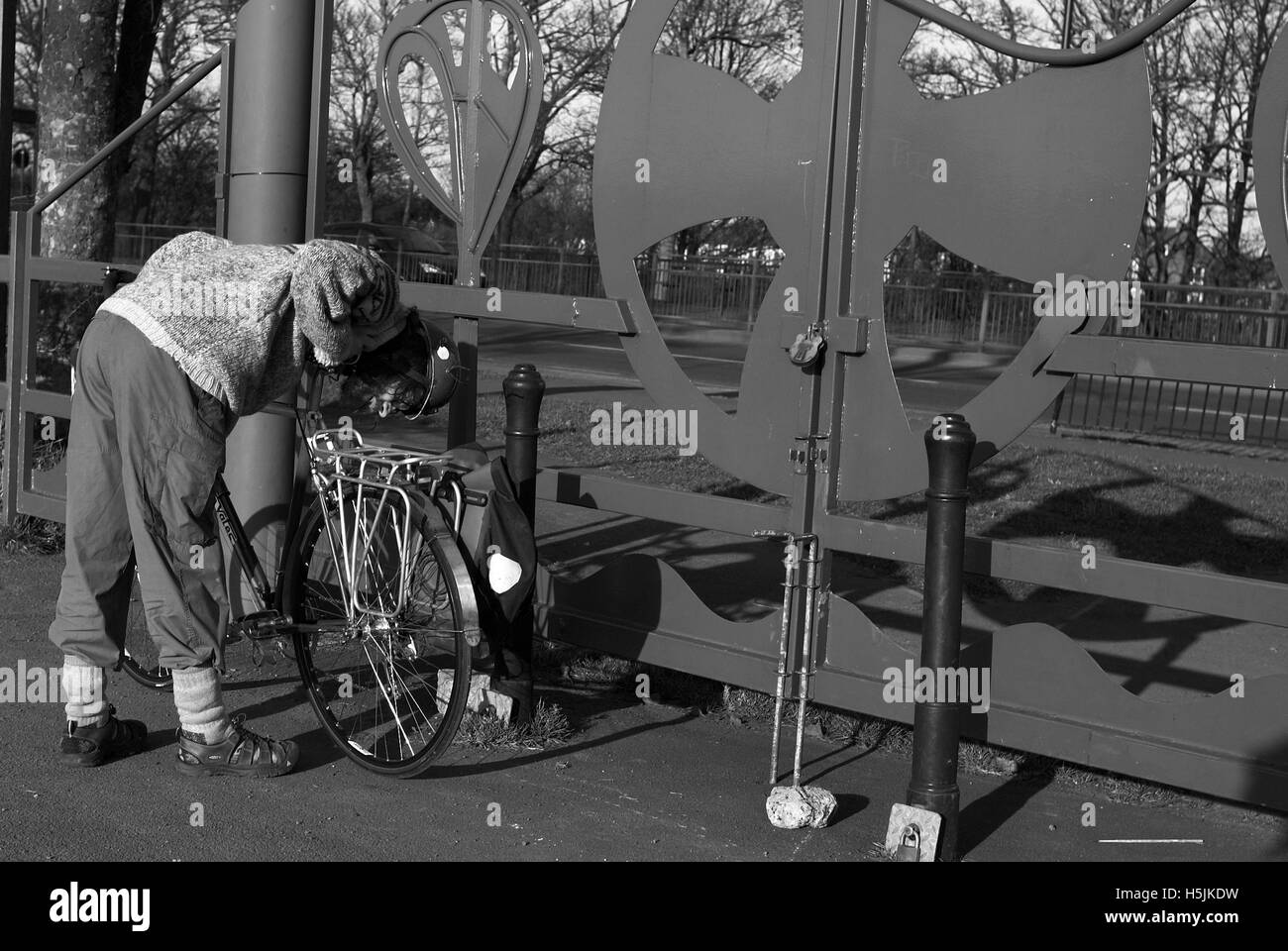 Examining bike, Town Moor, Newcastle upon Tyne, England Stock Photo Alamy