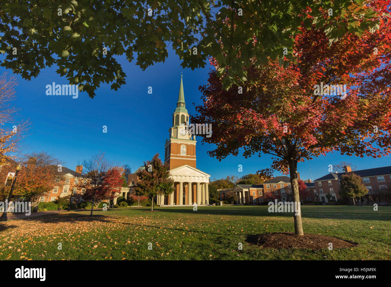 Wake Forest University