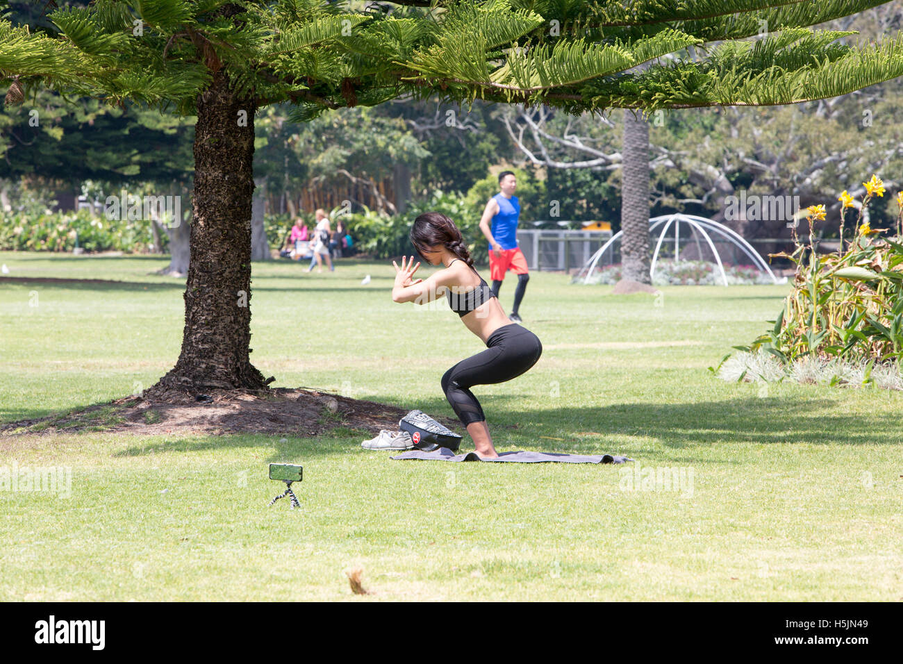 Asian lady doing exercises tai chi in Sydney Royal Botanic Gardens in the city centre ,Australia Stock Photo