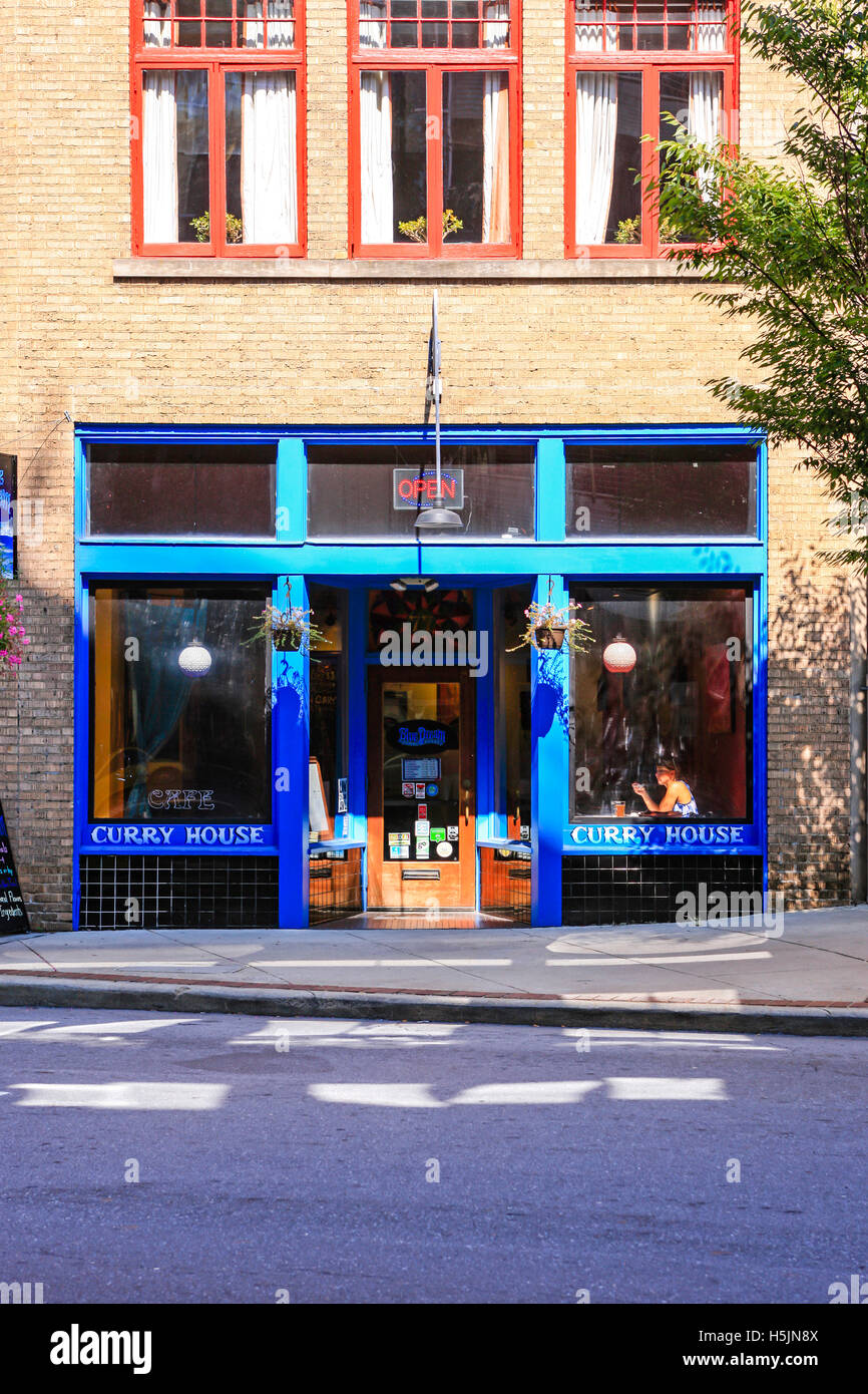 The Blue Dream Curry House Restaurant on Patton Ave in downtown