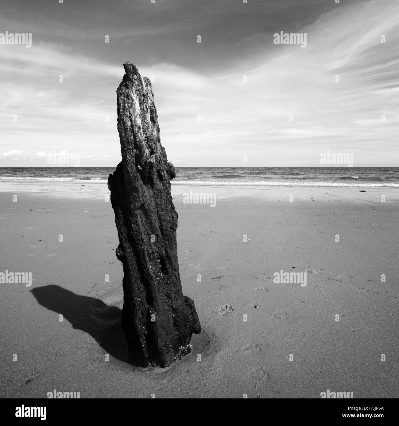 Old wooden post on Brancaster beach, Norfolk, UK. Stock Photo