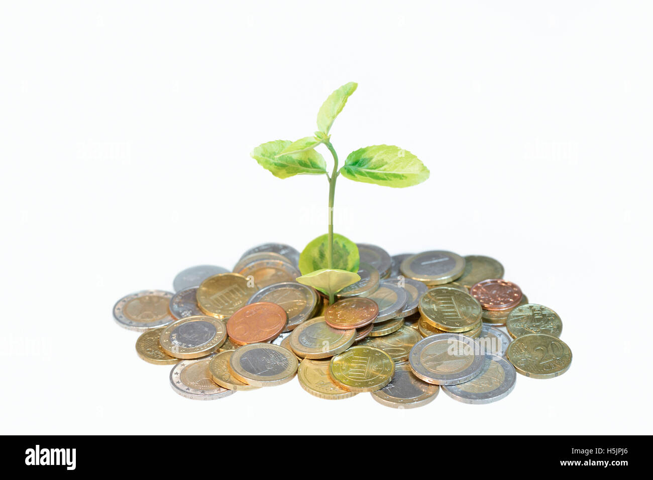 Seedling growing from a pile of coins Stock Photo