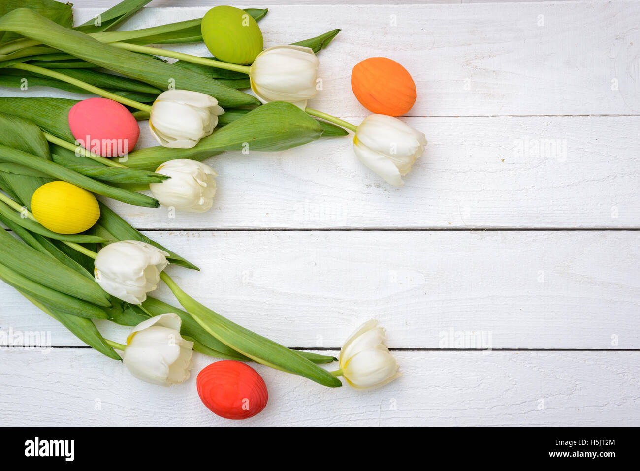 Easter Eggs and tulips on old white wood - Season Background Frame ...