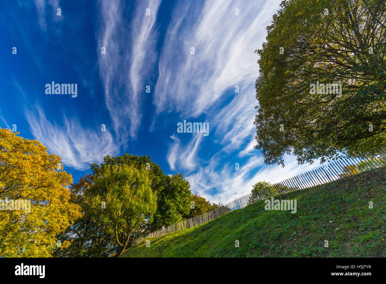 Autumnal trees and dramatic blue polarised sky, Namur, Belgium Stock Photo