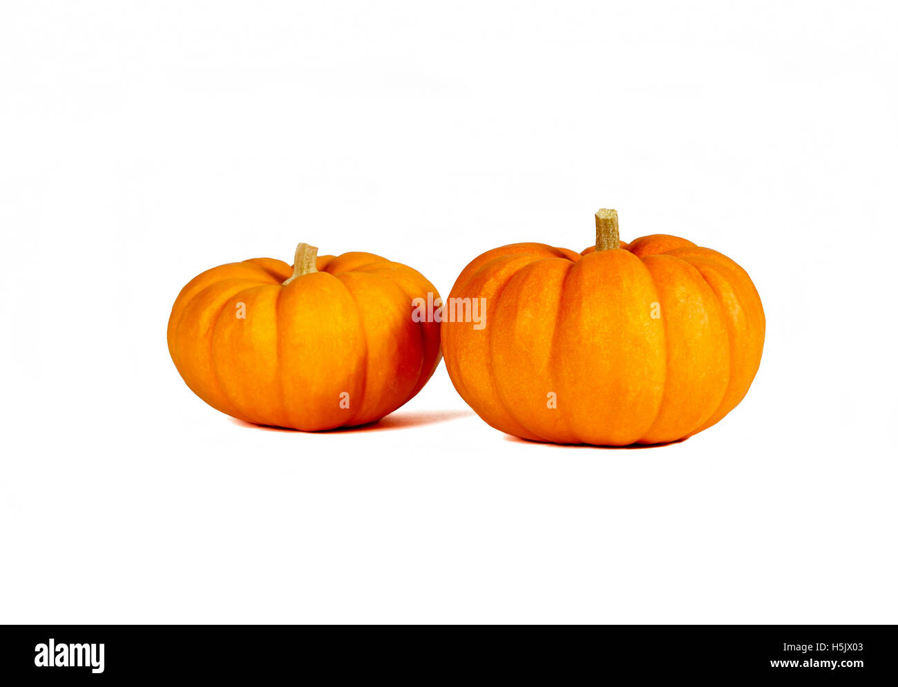 Two small pumpkins isolated on white Stock Photo - Alamy