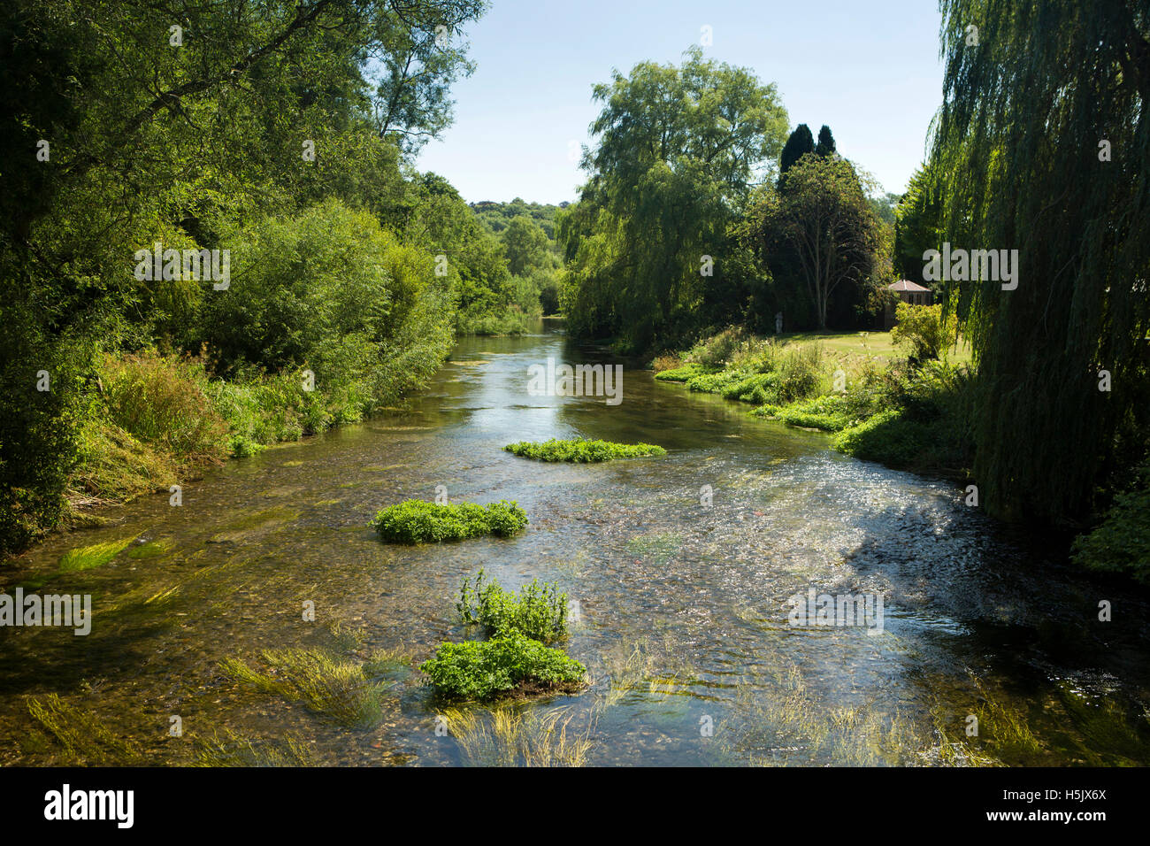 UK, England, Wiltshire,, Netheravon, River Avon, chalk stream at edge of Salisbury Plain Stock Photo