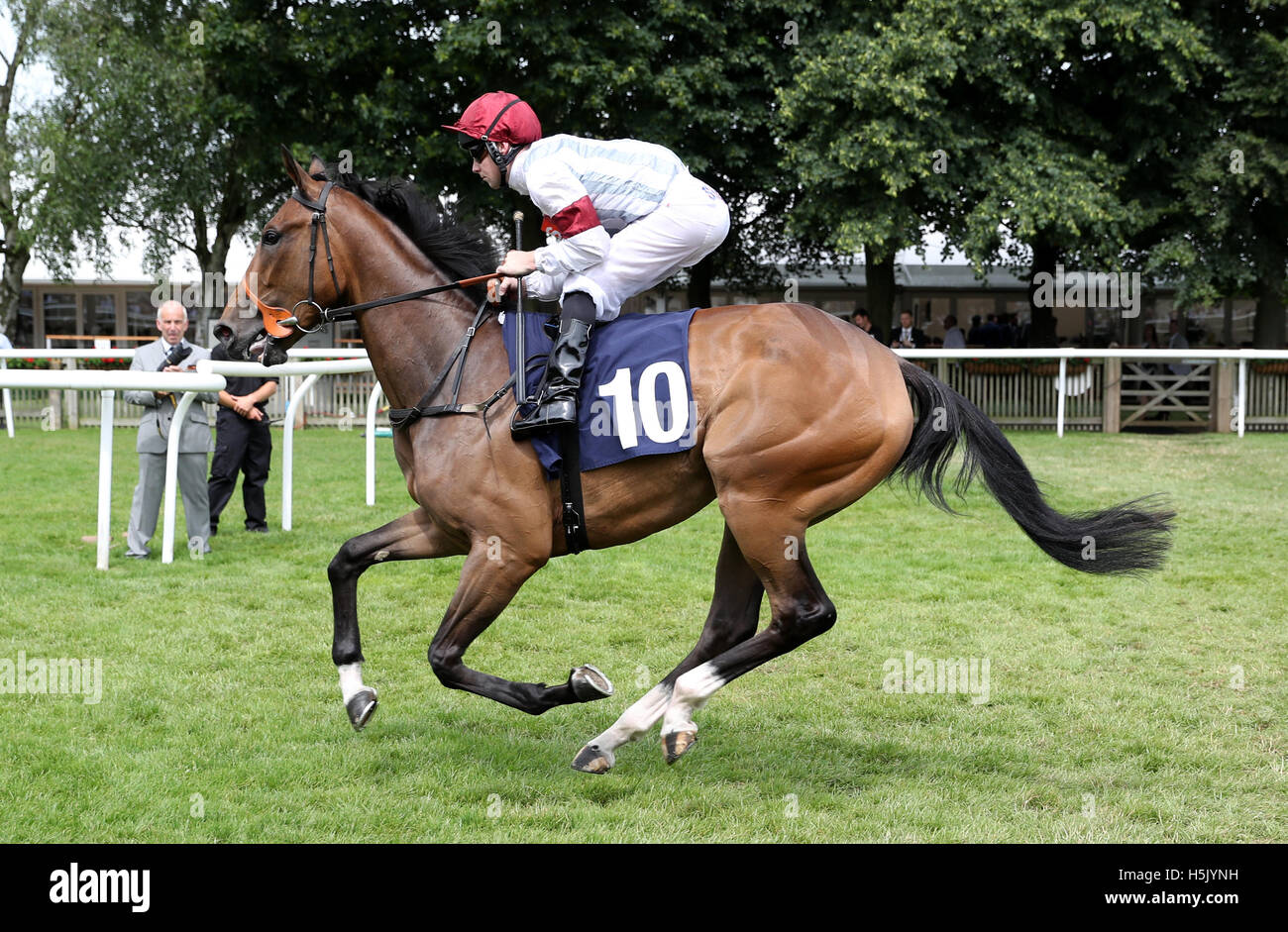 Quandary Peak ridden by Danny Brock goes to post Stock Photo