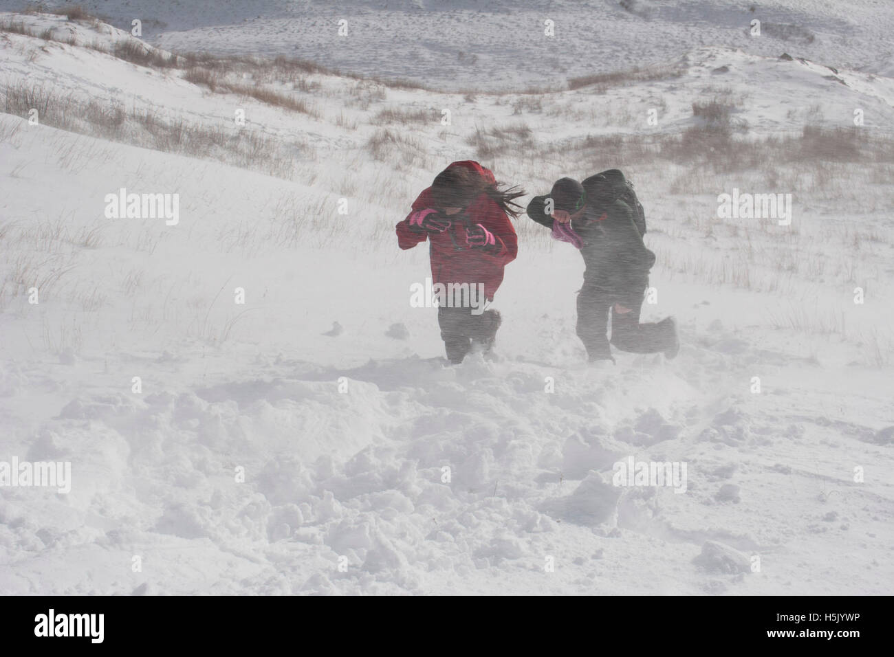 Two mountaineers battle through a blizzard, and snow drifts, towards Wansfell, in the Lake District Stock Photo