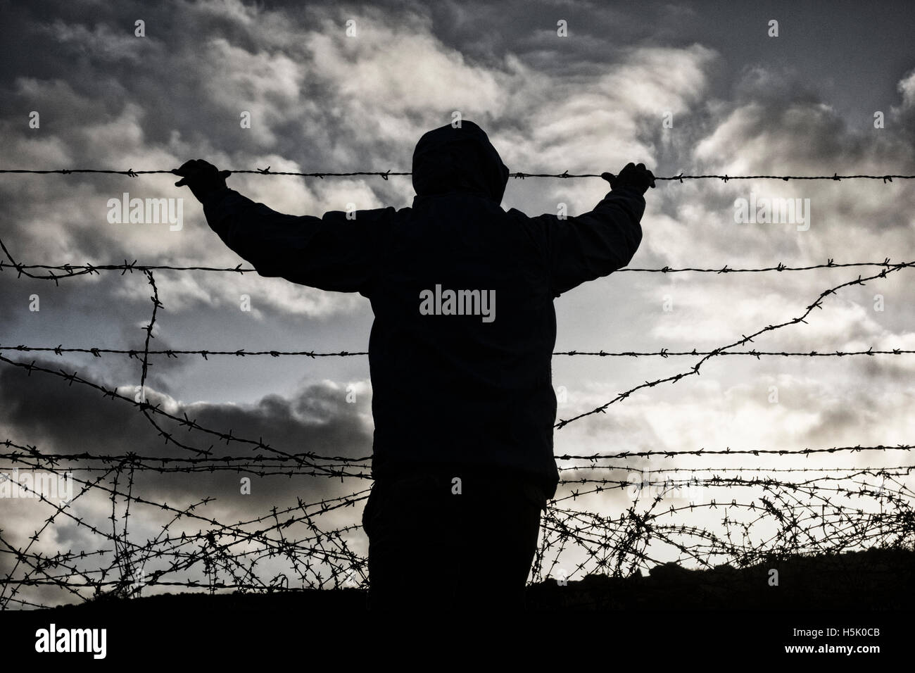 Rear view of man wearing hooded jacket looking through razor wire fence. Brexit, immigration, asylum... concept Stock Photo