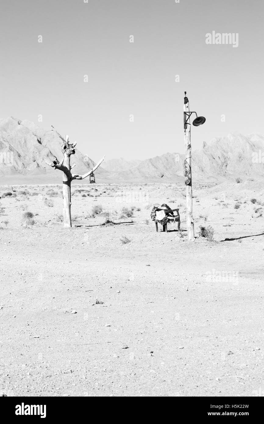 chair in iran blur old dead tree in the empty desert of persia lamp oil on branch Stock Photo