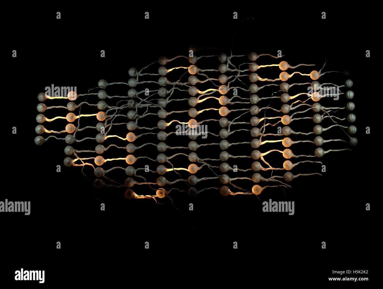 Neural net. Neuron network with links. 3d illustration Stock Photo - Alamy