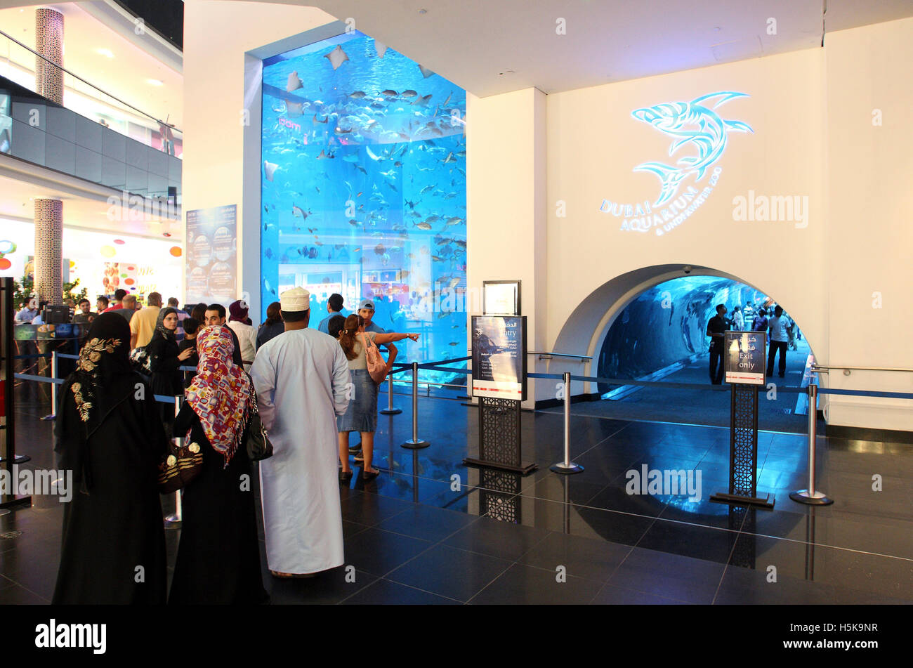 Dubai Aquarium and Underwater Zoo, saltwater aquarium in Dubai Mall