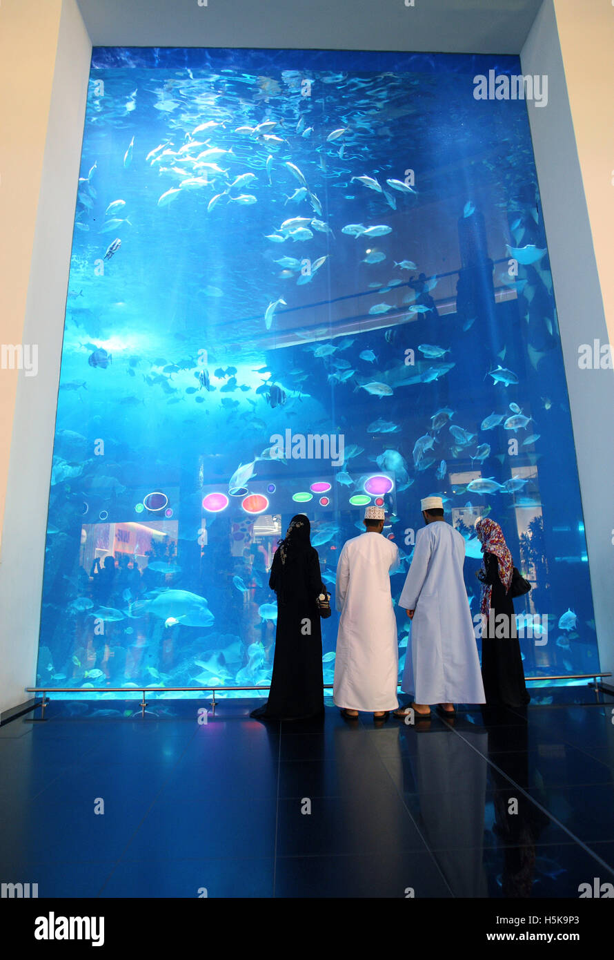 Dubai Aquarium and Underwater Zoo, saltwater aquarium in Dubai Mall