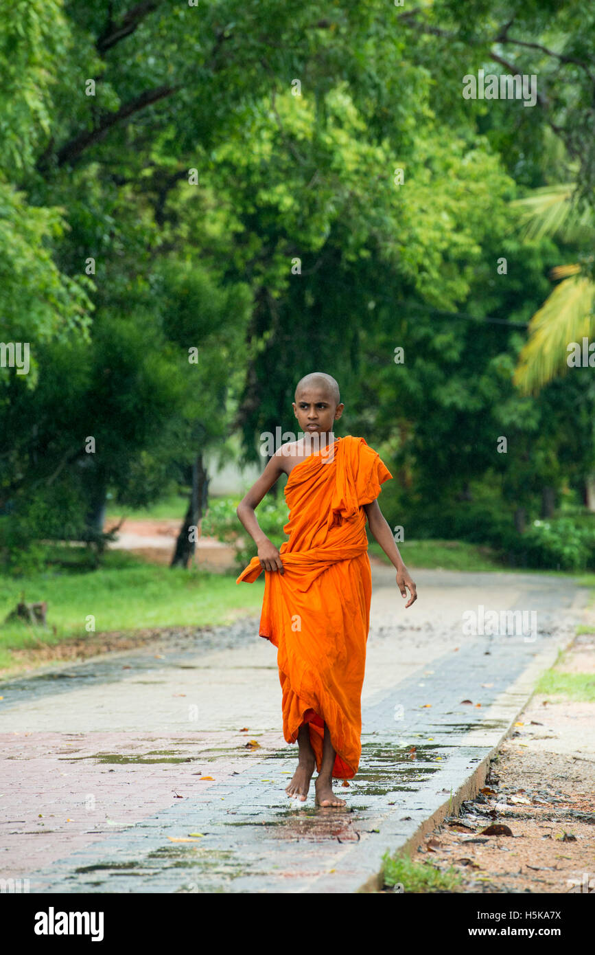 Sri Lankan Monk High Resolution Stock Photography and Images - Alamy