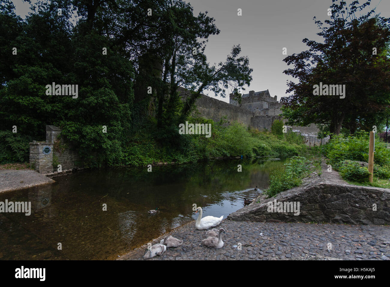 Cahir Castle in Ireland Stock Photo