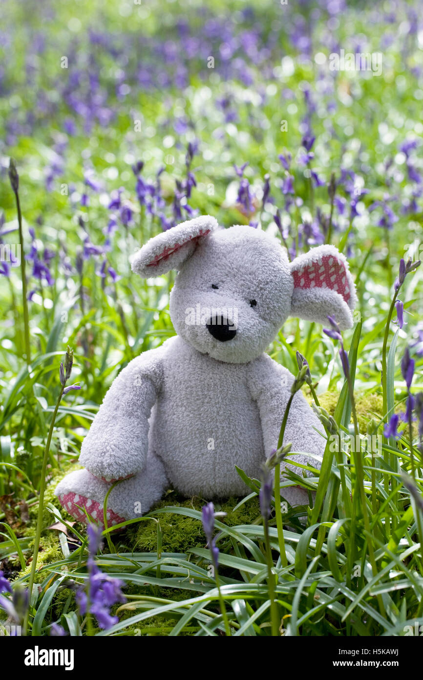 Child's soft toy mouse sitting amongst the bluebells. Stock Photo